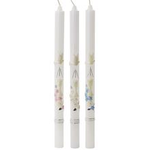 AKCIA! KRSTOVÁ č.71 36cm - FLORASYSTEM