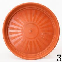 Miska Jawna 12 cm v rôznych farbách.