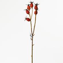 PLODY ŠÍPKA ČERV.44CM - FLORASYSTEM
