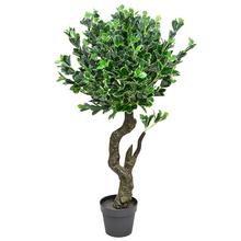 STROM FICUS V ČREPNÍKU 110CM - Foto0