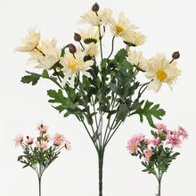 AKCIA! KYTICA MARGARÉTA 3F 33cm SUPER CENA! - FLORASYSTEM