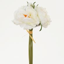 KYTICA PIVOŇKA BIELA 32CM - FLORASYSTEM
