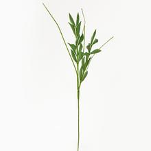 KS KVET PENA ZELENÁ 85cm - FLORASYSTEM