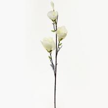 KS MAGNÓLIA BIELA 82cm - FLORASYSTEM