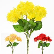 AKCIA! HORTENZIA KYTICA MIX 3 F 48cm  - FLORASYSTEM