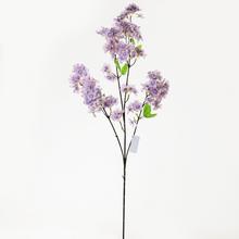 AKCIA! KONÁR ROZKVITNUTÝ FIALOVÝ 95cm - FLORASYSTEM