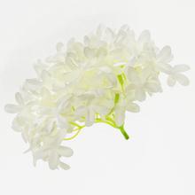 HLAVA HORTENZIA BIELA P:12CM BAL:12KS  - FLORASYSTEM