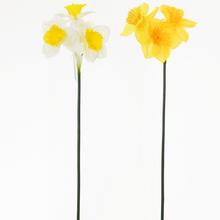 KS NARCIS MIX 2 FAR. 40cm - FLORASYSTEM