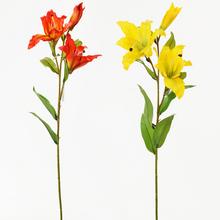 AKCIA! KS ĽALIA 79CM MIX 2FARIEB  - FLORASYSTEM