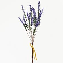 KYTICA ZVÄZOK LEVANDUĽA 38CM - FLORASYSTEM