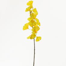 KONÁR GINKO 70CM ŽLTÝ - FLORASYSTEM