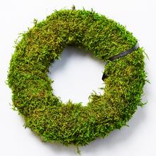 MACHOVÝ VENIEC 15CM - FLORASYSTEM