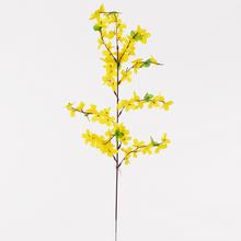 KS ZLATÝ DÁŽĎ 66CM/11 - FLORASYSTEM
