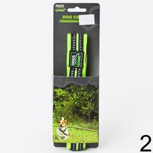 Obojok pre psa veľký mix v zeleno-oranžovej farbe.