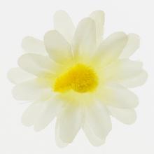 HLAVA MARGARÉTKA BIELA P:4CM BAL:100KS - FLORASYSTEM
