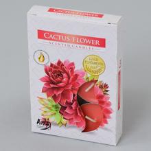 ČAJOVÉ VOŇAVÉ/6 KVET KAKTUSU - FLORASYSTEM