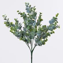 ZÁPICH EUCALYPTUS 35CM SUPER CENA! - FLORASYSTEM