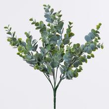 ZÁPICH EUCALYPTUS 35CM SUPER CENA! - FLORASYSTEM