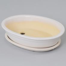 Biely oválny kvetináč s miskou na bonsai.