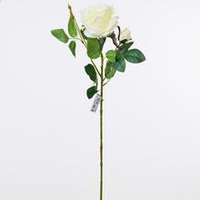 KS RUŽA BIELA S PUKOM 75cm - FLORASYSTEM