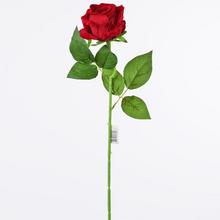 LDJ02 KS RUŽA ZAMAT. - FLORASYSTEM