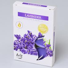 ČAJOVÉ VOŇAVÉ/6 LEVANDUĽA /NOVÁ/ - FLORASYSTEM