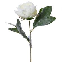 AKCIA!KS PIVÓNIA ZASNEŽENÁ 32CM - FLORASYSTEM