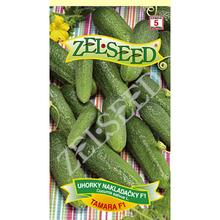 Semená uhorky nakladačky Tamara F1 od ZELSEED.