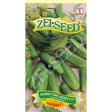 Semená uhorky nakladačky Santana F1 v balení 1g.