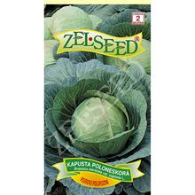 KAPUSTA POUROVO POLOPOZDNÍ 0,8g  - FLORASYSTEM