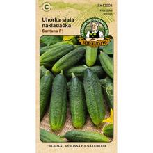 UHORKA SIATA NAKLADAČKA SANTANA F1 1,2g - FLORASYSTEM