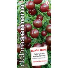 RAJČIAK KOL. ČEREŠ. BLACK OPAL 15s - FLORASYSTEM