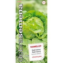 ŠALÁT SIATY ĽADOVÝ KAMELOT 0,6g - FLORASYSTEM