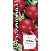 REDKVIČKA LADA - 5g - FLORASYSTEM
