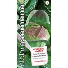 KAPUSTA HL. DOBROV. POUROVO POZDNÍ 0,8g - FLORASYSTEM