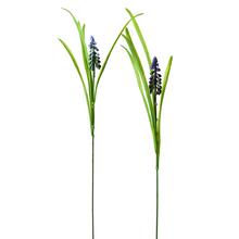 AKCIA! 25FLK020286 MUSCARI KS/GUM 55 CM - FLORASYSTEM