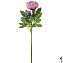 KS PIVONIA MIX 3F 70cm - Foto1