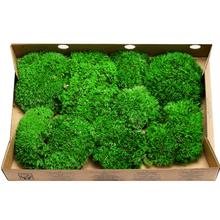MACH BOLMOS preparovaný / 500g box, BOCHNÍČKY - FLORASYSTEM
