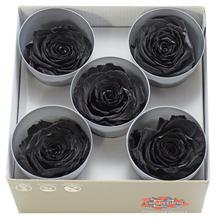 Ruža preparovaná 7cm BLACK /ks - bal. 5 ks - FLORASYSTEM