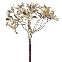 ZÁPICH CHAMP. 20cm - FLORASYSTEM