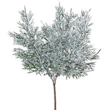 ZÁPICH ČEČ. OSNEŽ. 20cm - FLORASYSTEM