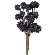 ZÁPICH ČIERNY MALINA 15cm - FLORASYSTEM