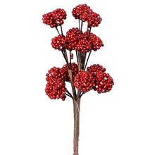 ZÁPICH ČERVENÝ MALINA 15cm - FLORASYSTEM