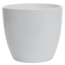 28714 OBAL ALASKA WEISS 920/11 - FLORASYSTEM