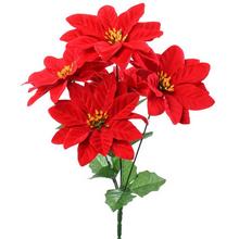 KYTICA POINSETTIA ČERVENÁ X5 35CM - FLORASYSTEM