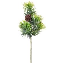 KONÁR ČEČINA+ŠIŠKA 41CM - FLORASYSTEM