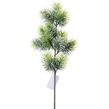 KONÁR ČEČINA 45CM - FLORASYSTEM