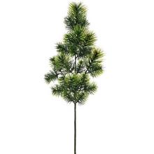 KONÁR ČEČINA 68CM - FLORASYSTEM