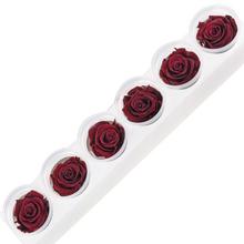 Ruža preparovaná 6,5cm BURGUNDY /ks - FLORASYSTEM