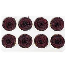Ruža preparovaná 5cm BURGUNDY /ks - FLORASYSTEM